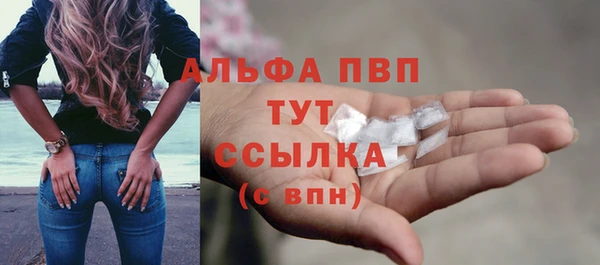 дживик Бородино