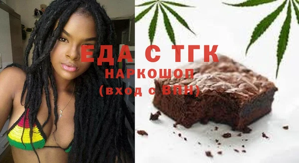 дживик Бородино