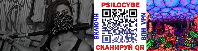 Псилоцибиновые грибы Psilocybine cubensis Новокубанск